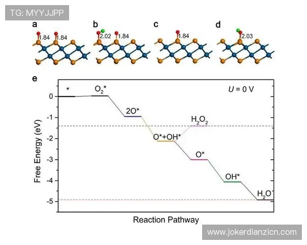结合实际案例分析PT电子构型在先进材料中的创新应用
